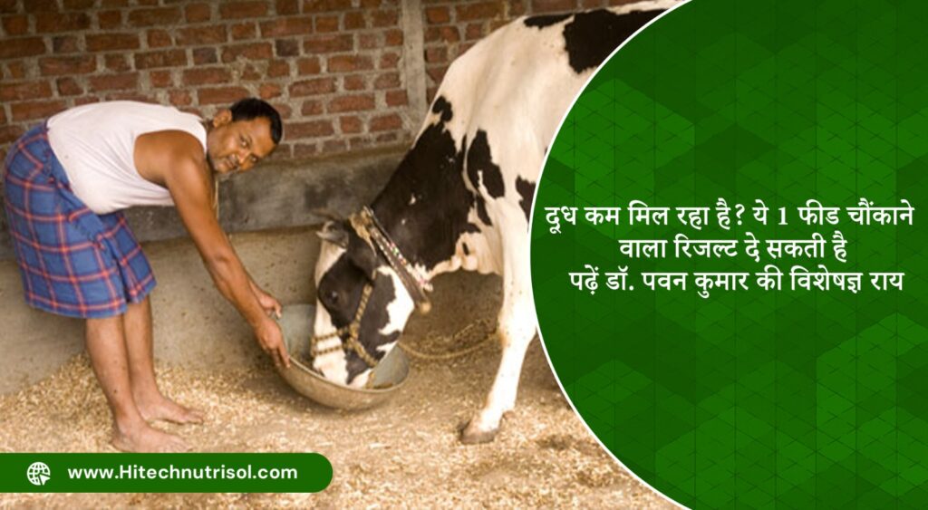 दूध कम मिल रहा है? ये 1 फीड चौंकाने वाला रिजल्ट दे सकती है पढ़ें डॉ. पवन कुमार की विशेषज्ञ राय